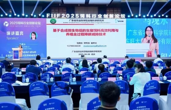 1763705676658505.png 7.png